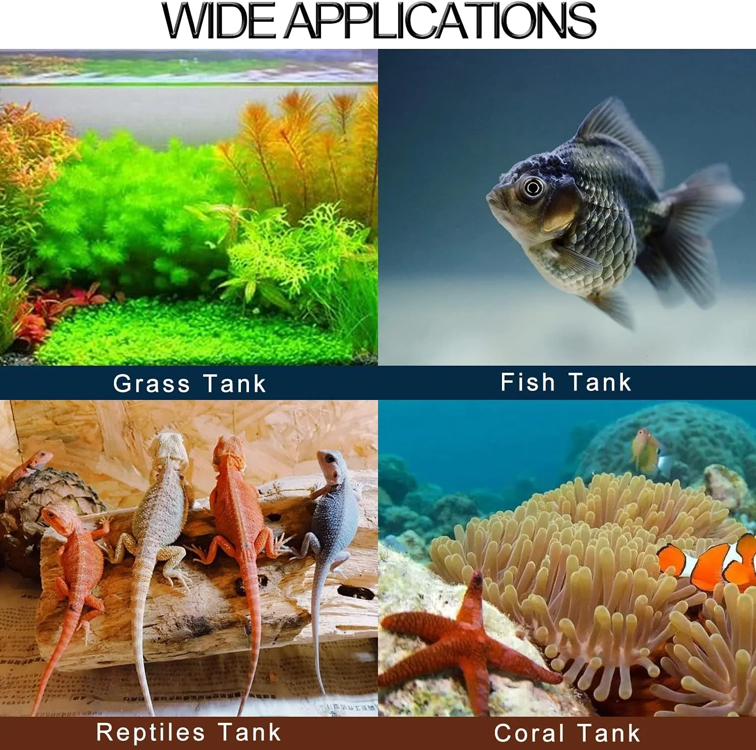 Digital Aquarium Thermometer - Image 9