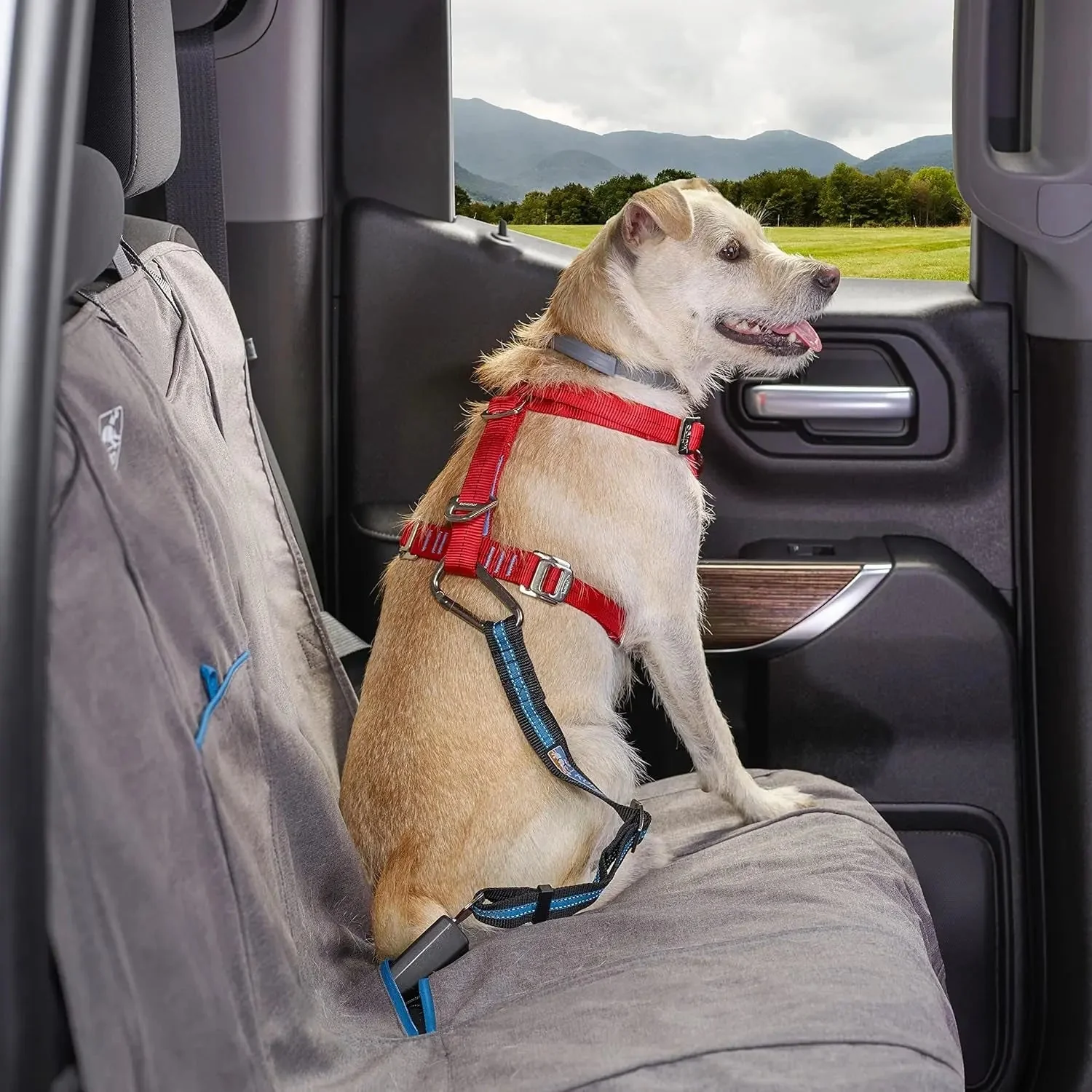 Direct to Seatbelt Tether - Easy-Use Dog Car Harness Clip - Adjustable Ride Strap - Universal Fit for Most Vehicles - All Steel Hardware - Backseat Restraint - Coastal Blue - Image 2