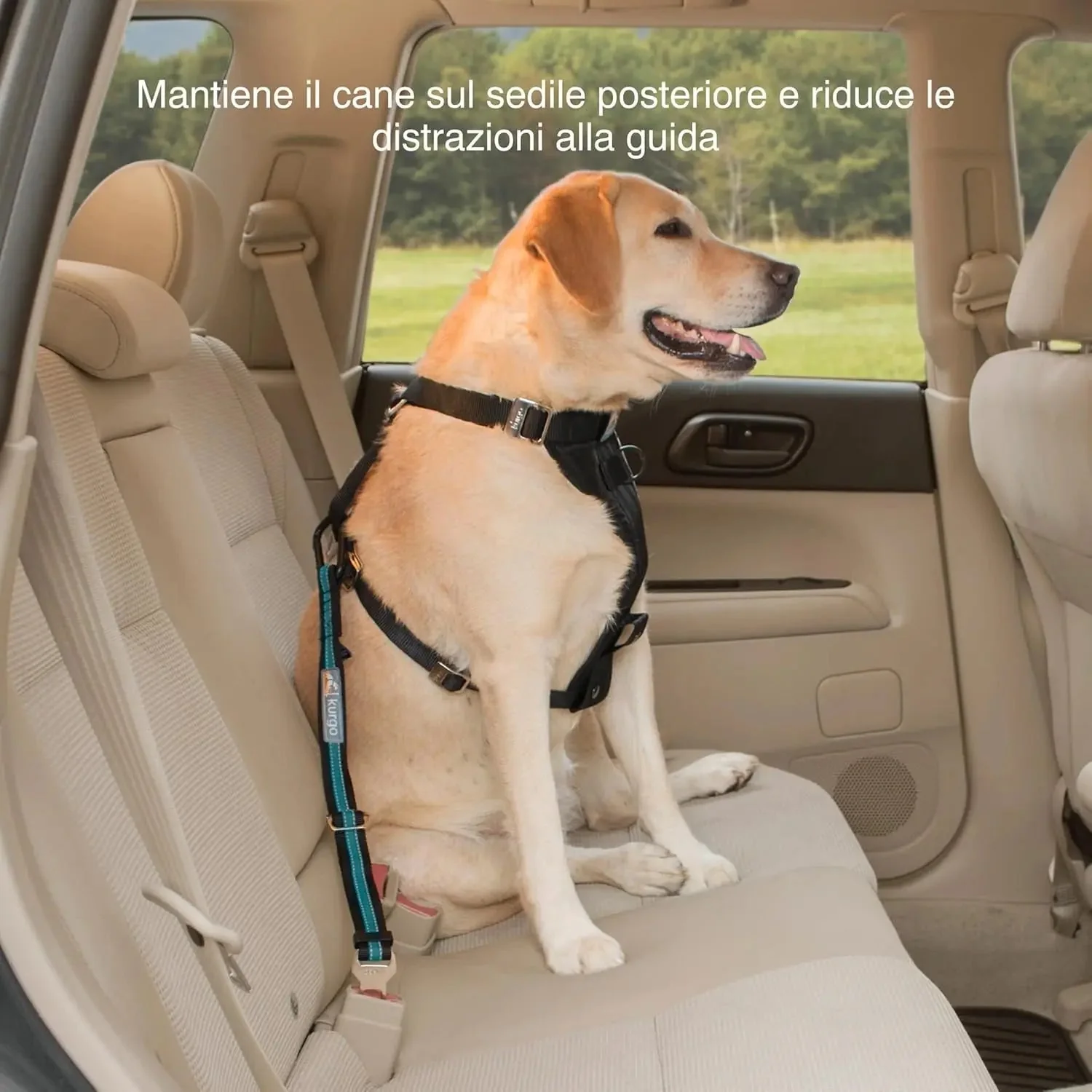 Direct to Seatbelt Tether - Easy-Use Dog Car Harness Clip - Adjustable Ride Strap - Universal Fit for Most Vehicles - All Steel Hardware - Backseat Restraint - Coastal Blue - Image 3
