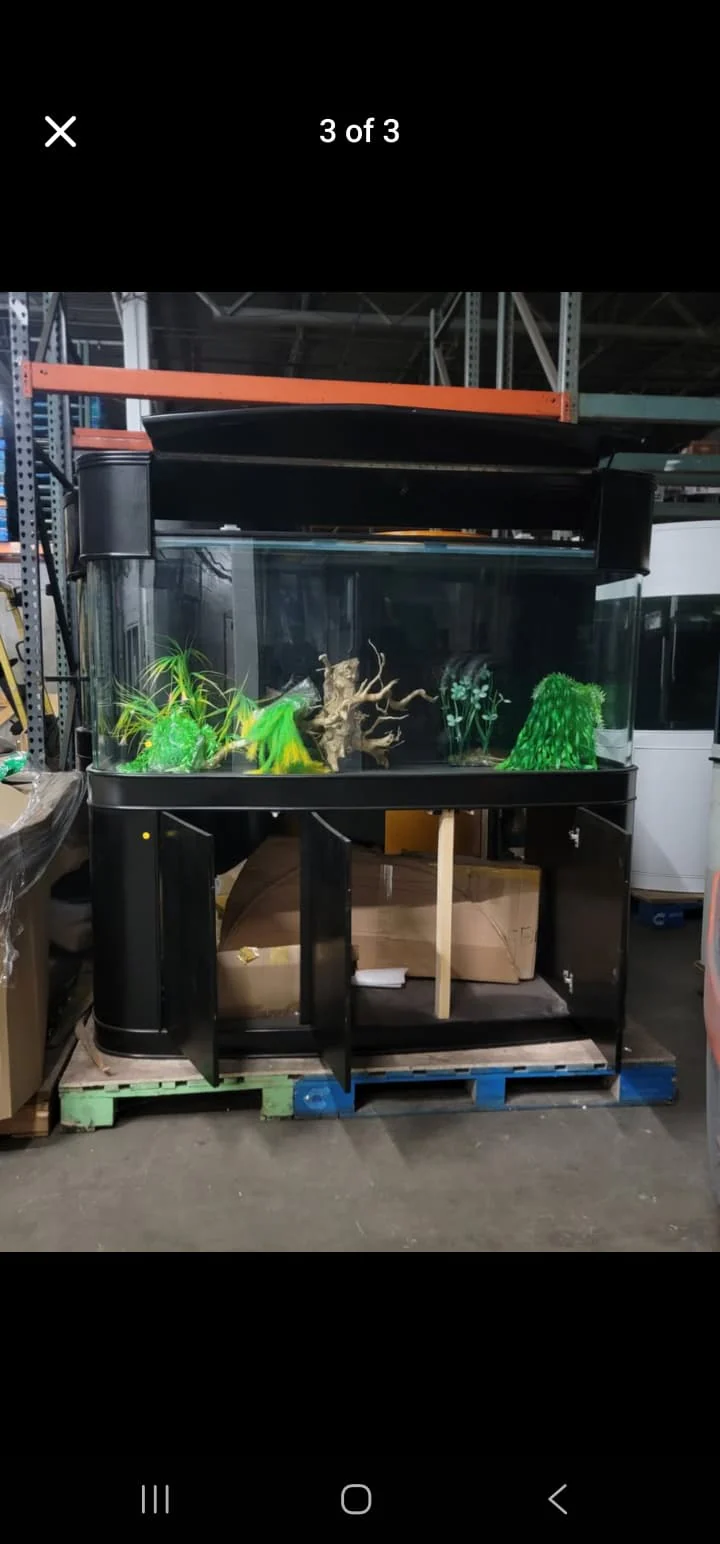 Display Model | 215g Seamless Glass Bowfront Reef-Ready Aquarium Set in Abyss Black - Image 5
