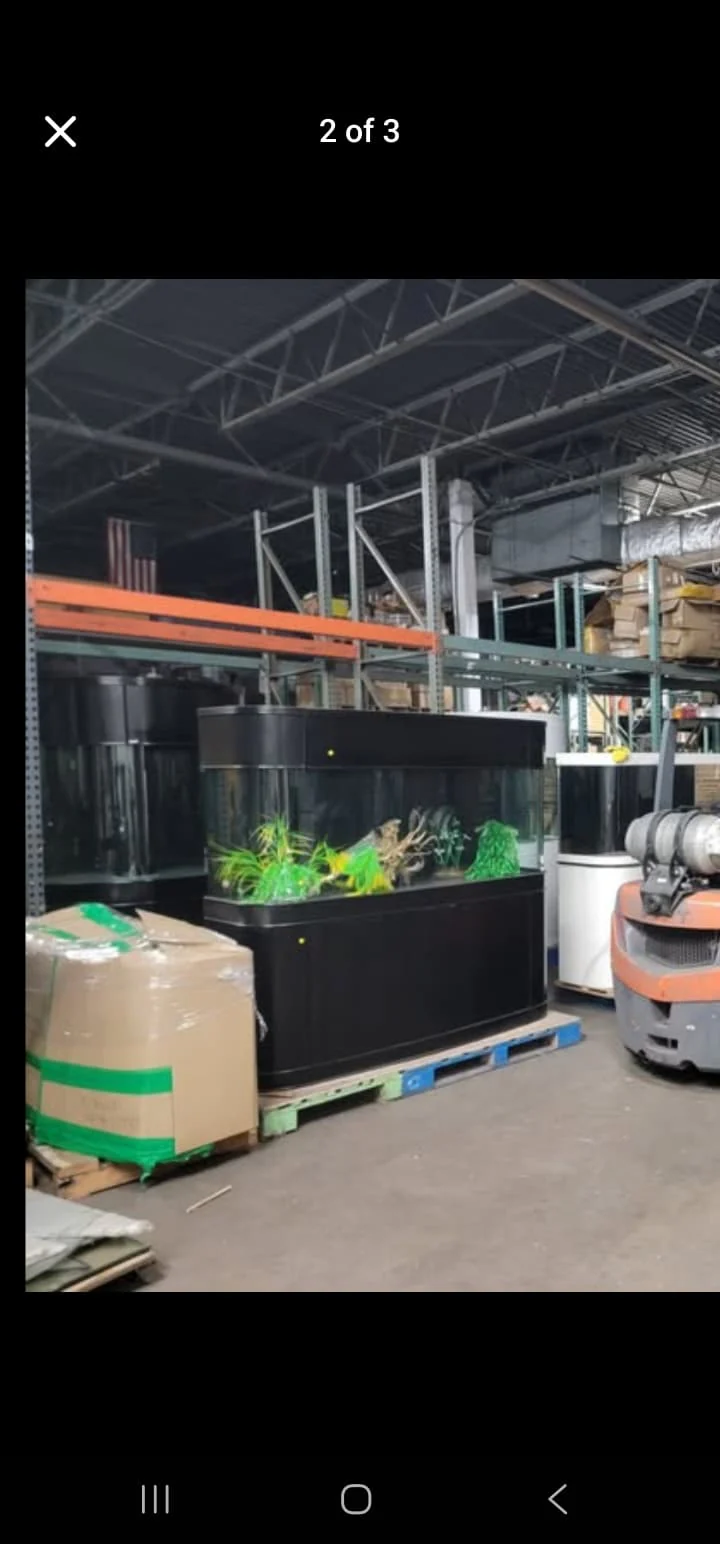 Display Model | 215g Seamless Glass Bowfront Reef-Ready Aquarium Set in Abyss Black - Image 7