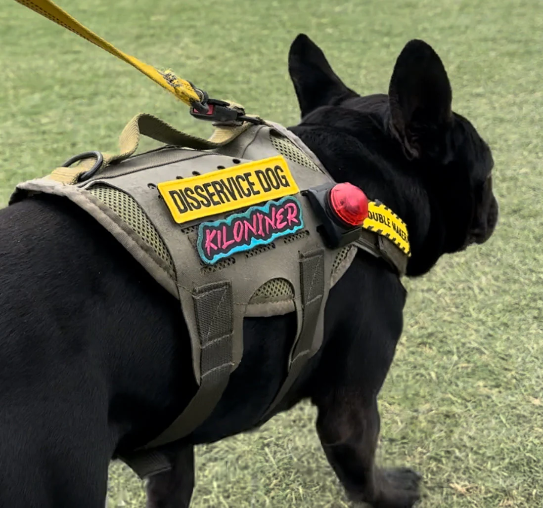 Disservice Dog Morale Patch - Image 3