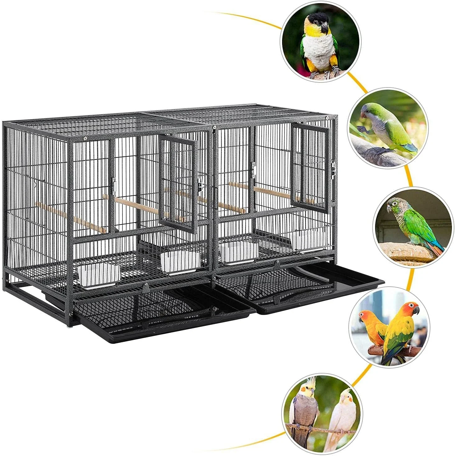 Divided Breeder for Bird - Image 3