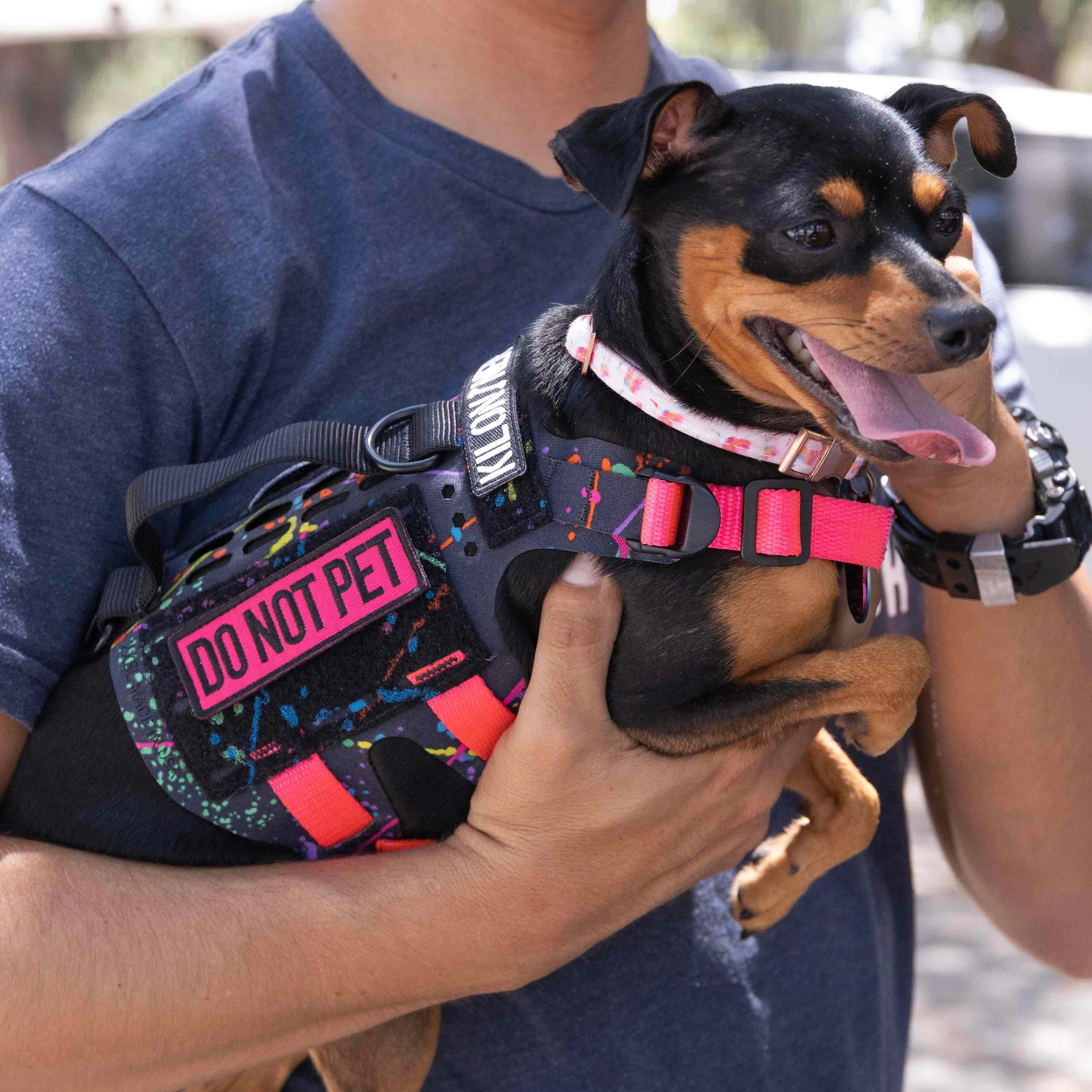 Do Not Pet (Pink) Morale Patch - Image 4