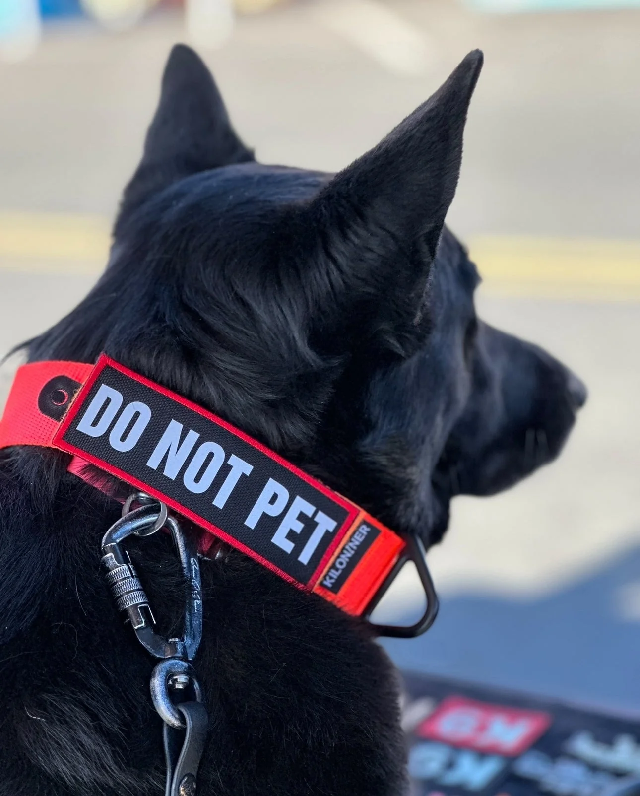 Do Not Pet Reflective Morale Patch - Image 4