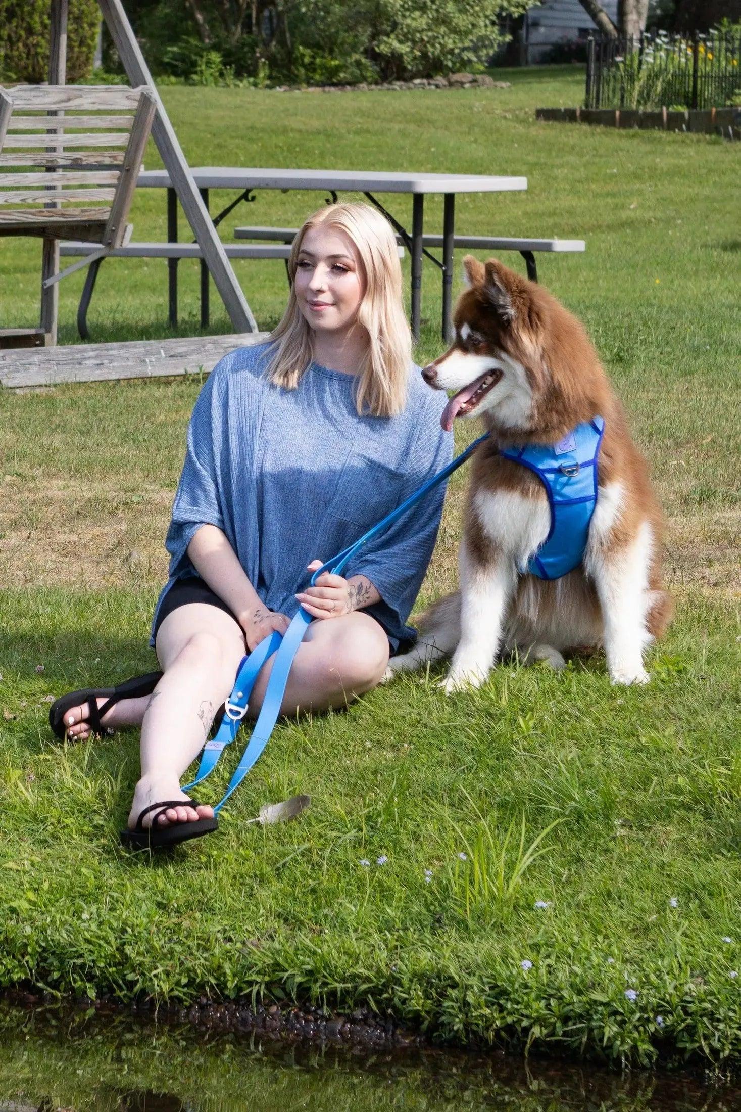 Dockside Adventures Ultimate Harness - Image 3