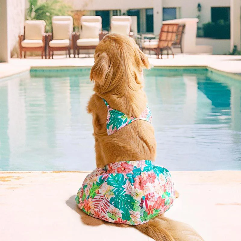Dog bikini Hawaii beach swim wear for Large dog - Image 2