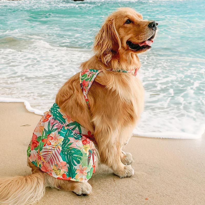 Dog bikini Hawaii beach swim wear for Large dog - Image 3