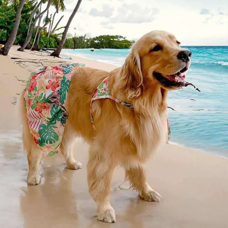 Dog bikini Hawaii beach swim wear for Large dog - Image 5