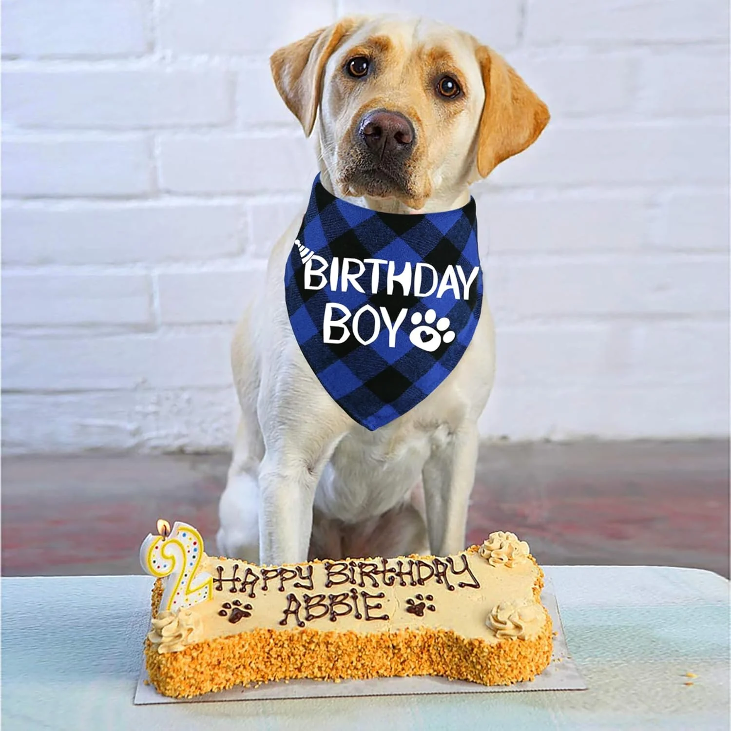 Dog Birthday Bandana – Premium Cotton Birthday Boy Bandana for Dogs - Image 3