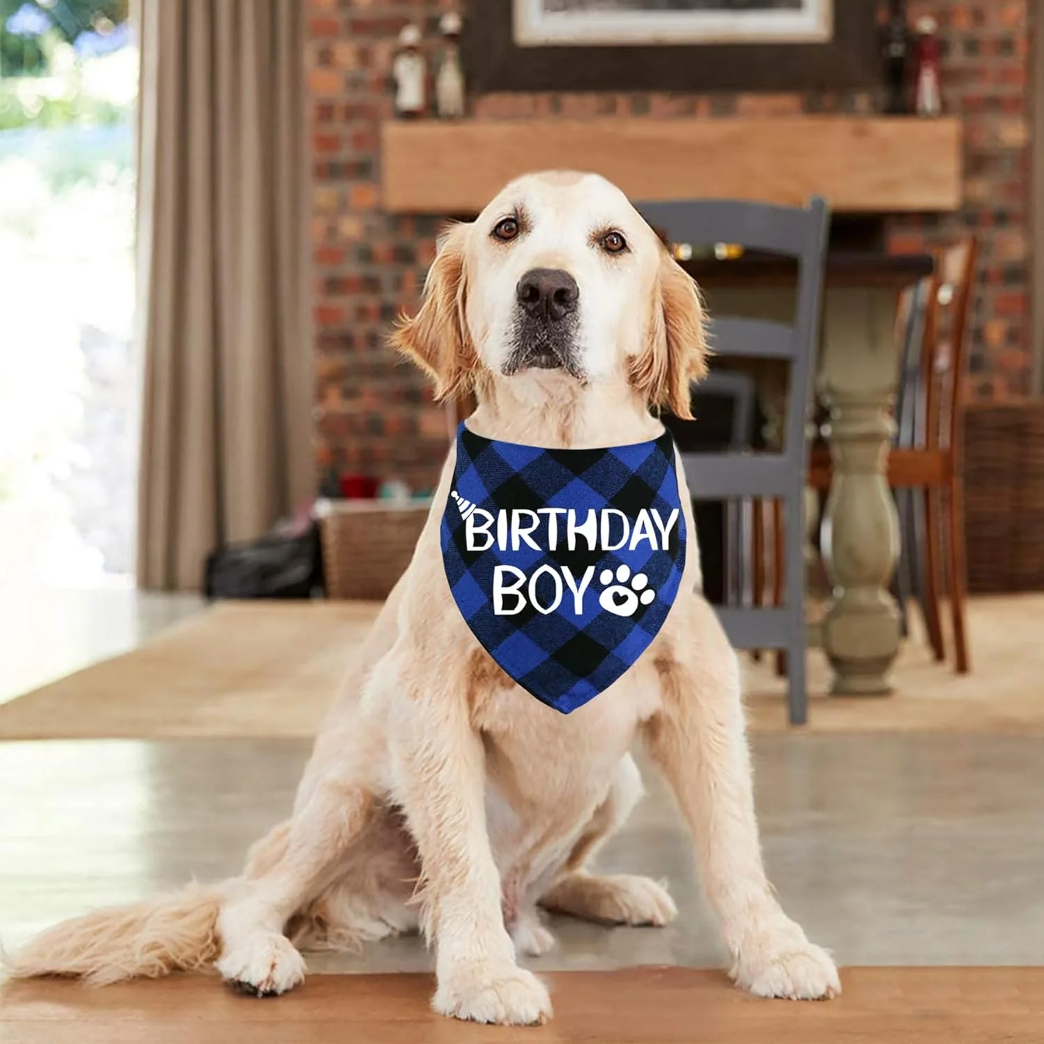 Dog Birthday Bandana – Premium Cotton Birthday Boy Bandana for Dogs - Image 5