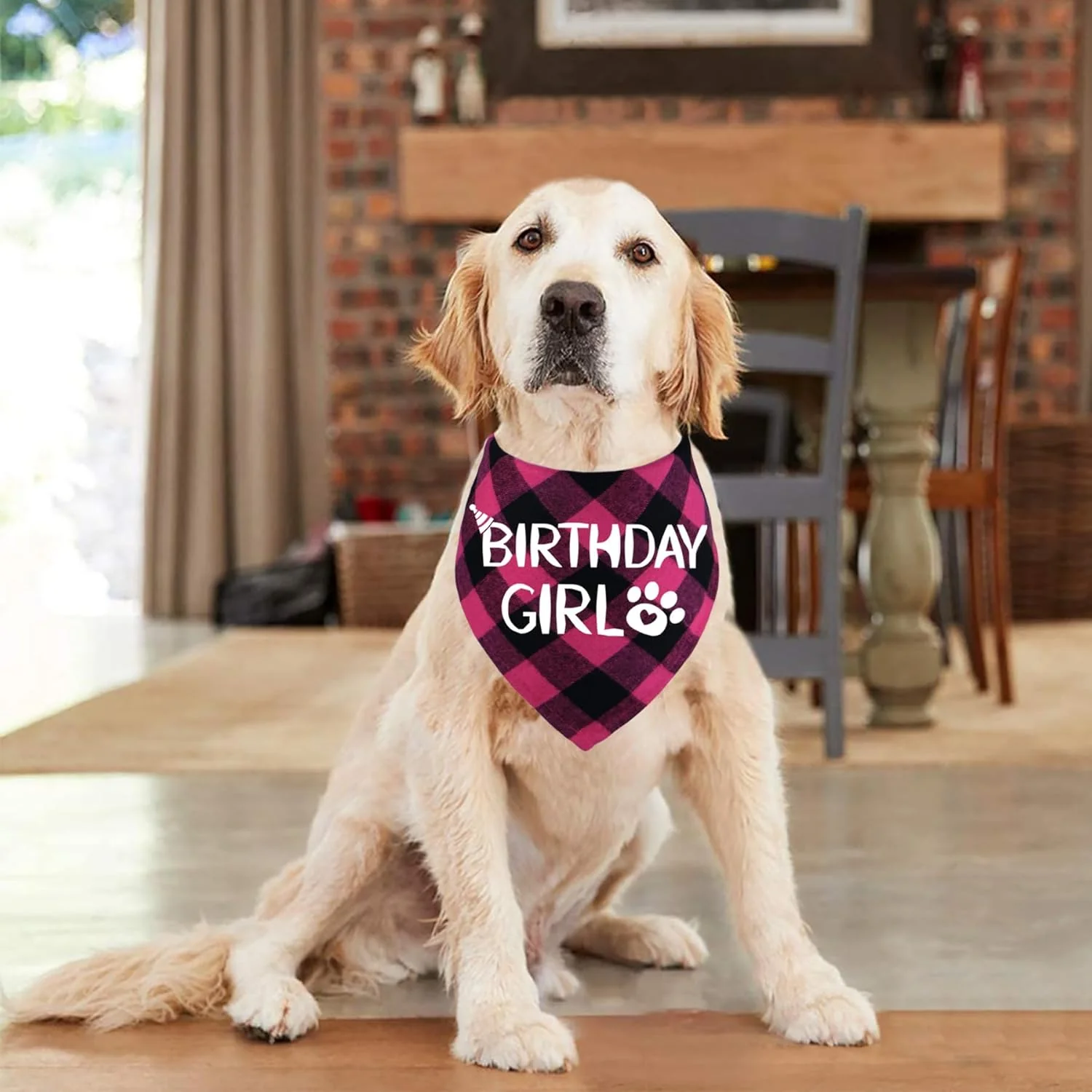 Dog Birthday Bandana – Premium Cotton Birthday Boy Bandana for Dogs - Image 8