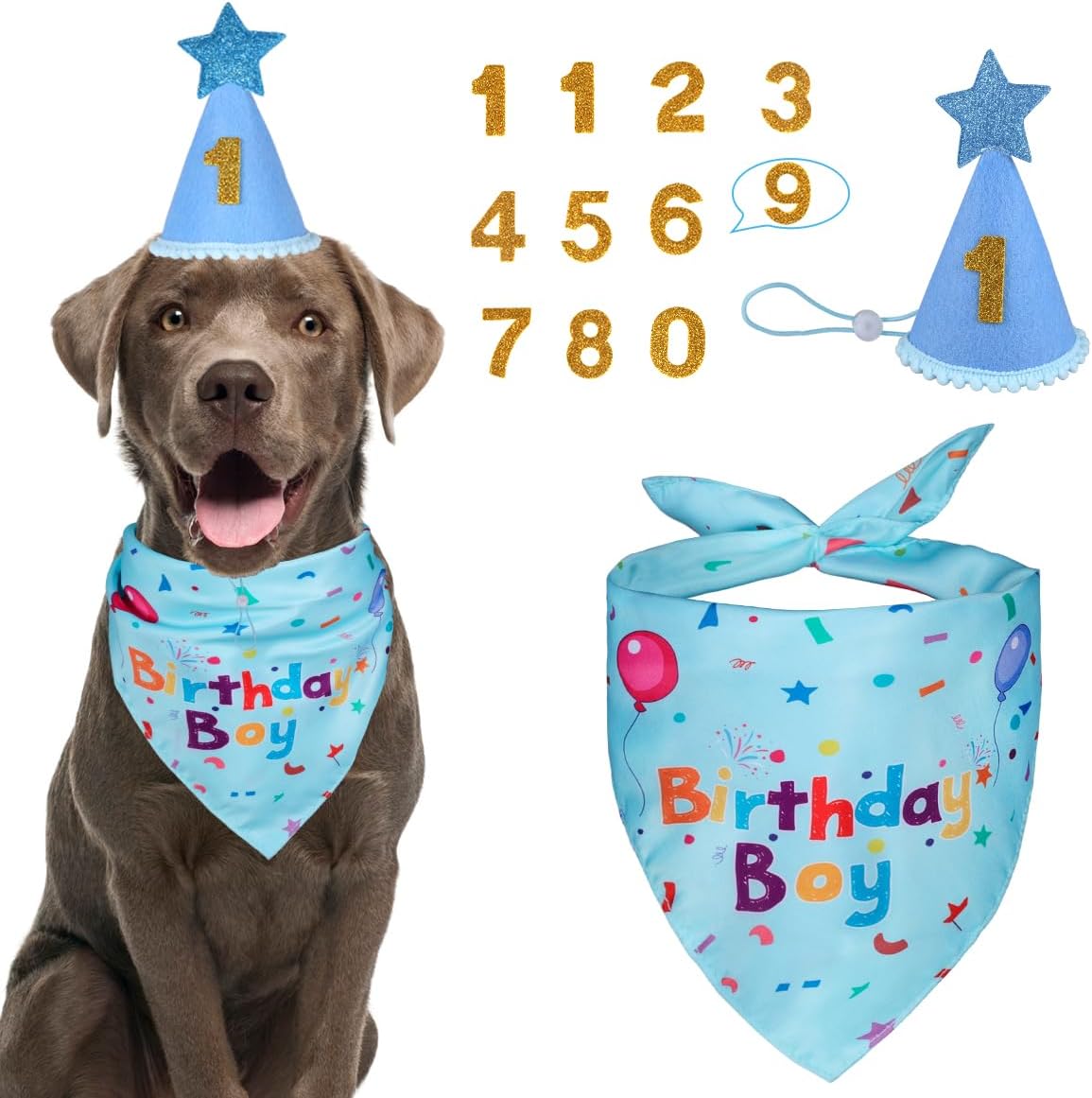Dog Birthday Party Supplies – Premium Bandana & Hat Set for Dogs - Image 2