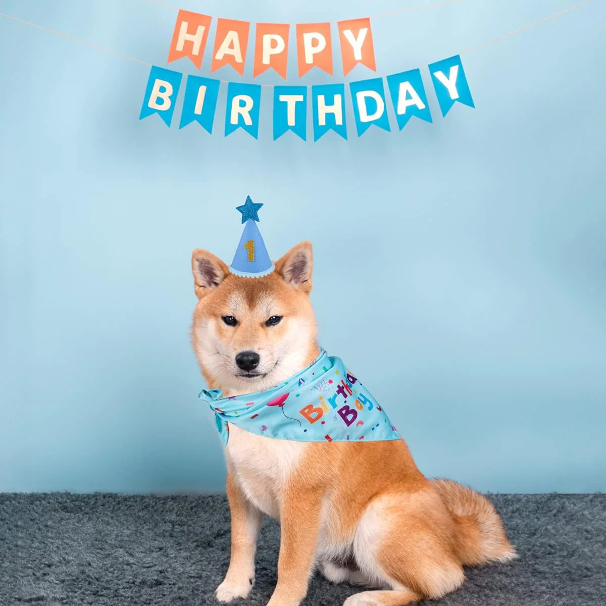 Dog Birthday Party Supplies – Premium Bandana & Hat Set for Dogs - Image 4