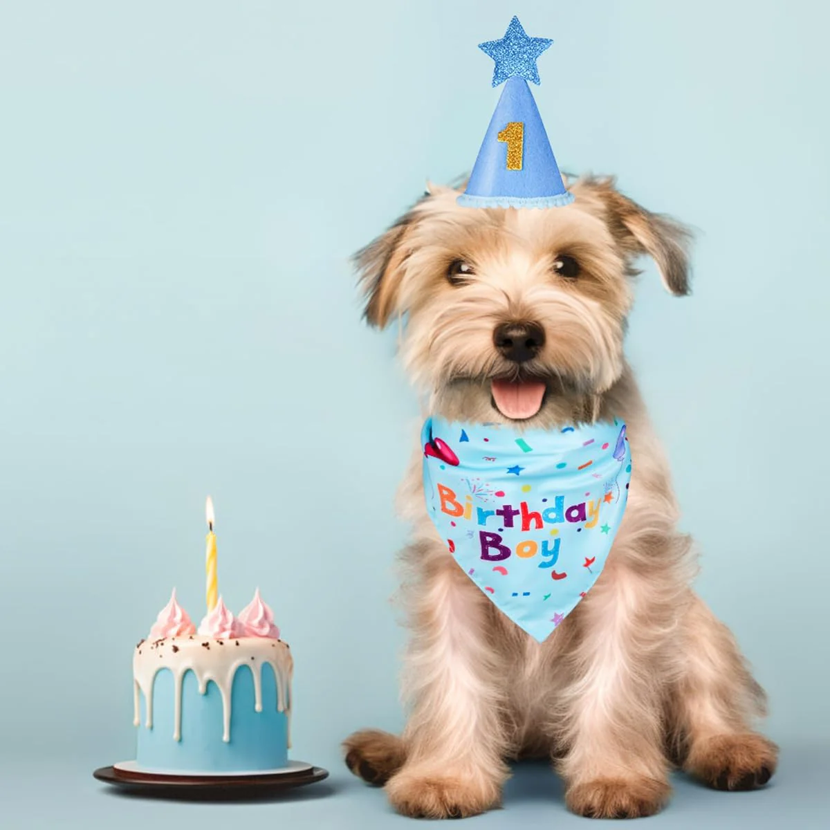 Dog Birthday Party Supplies – Premium Bandana & Hat Set for Dogs - Image 5