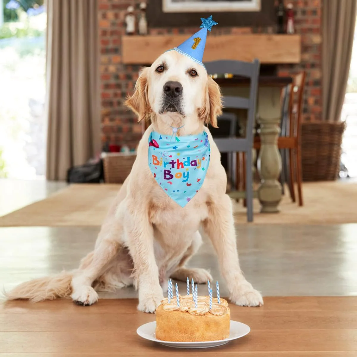 Dog Birthday Party Supplies – Premium Bandana & Hat Set for Dogs - Image 6