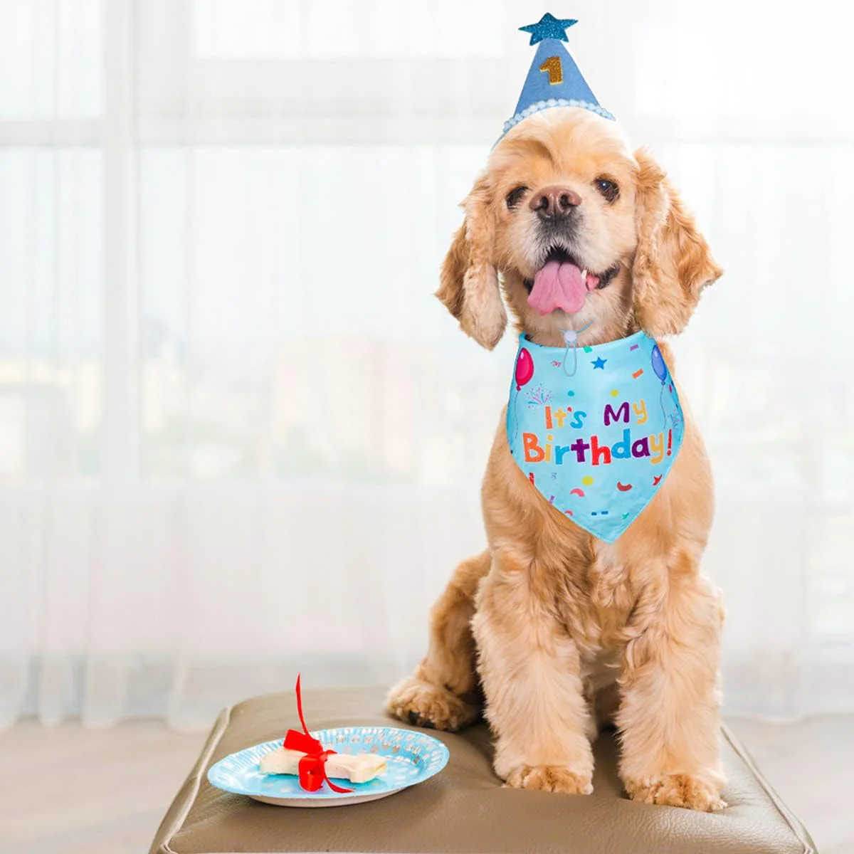 Dog Birthday Party Supplies – Premium Bandana & Hat Set for Dogs - Image 9
