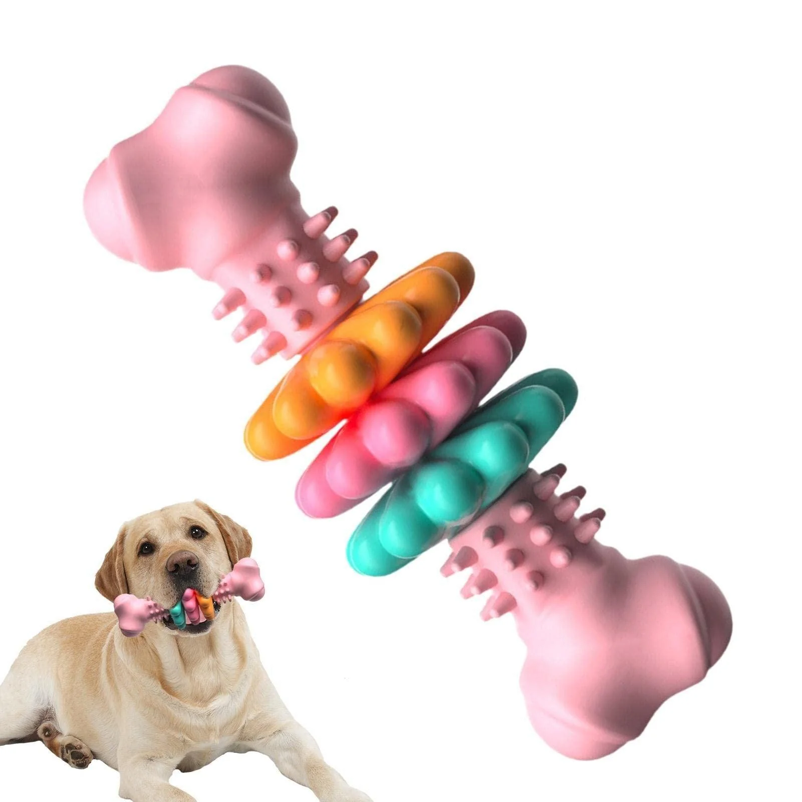 Dog Bite Resistant Teething Bone Chew Toy - Image 2