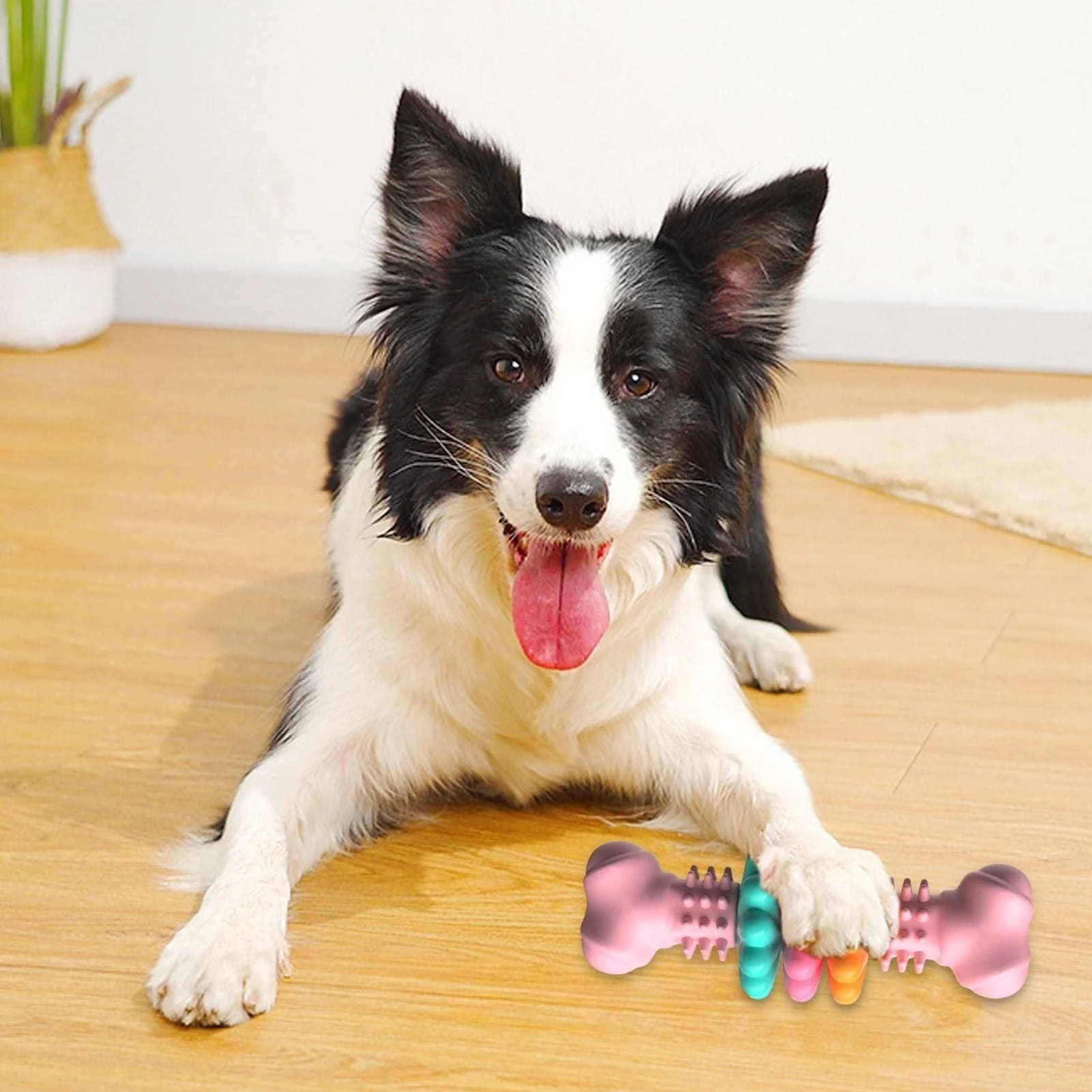 Dog Bite Resistant Teething Bone Chew Toy - Image 6