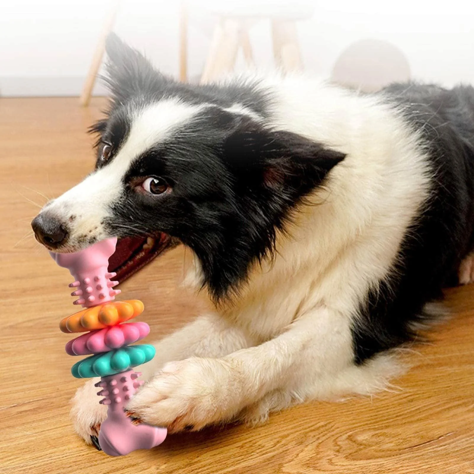 Dog Bite Resistant Teething Bone Chew Toy - Image 7