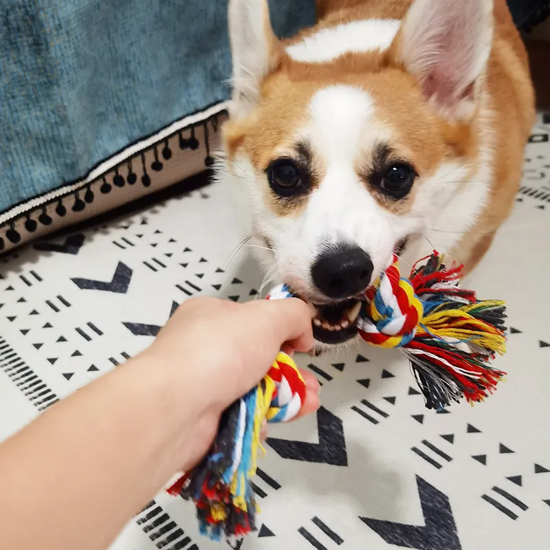 Dog Bite Rope Chew Toy - Image 8