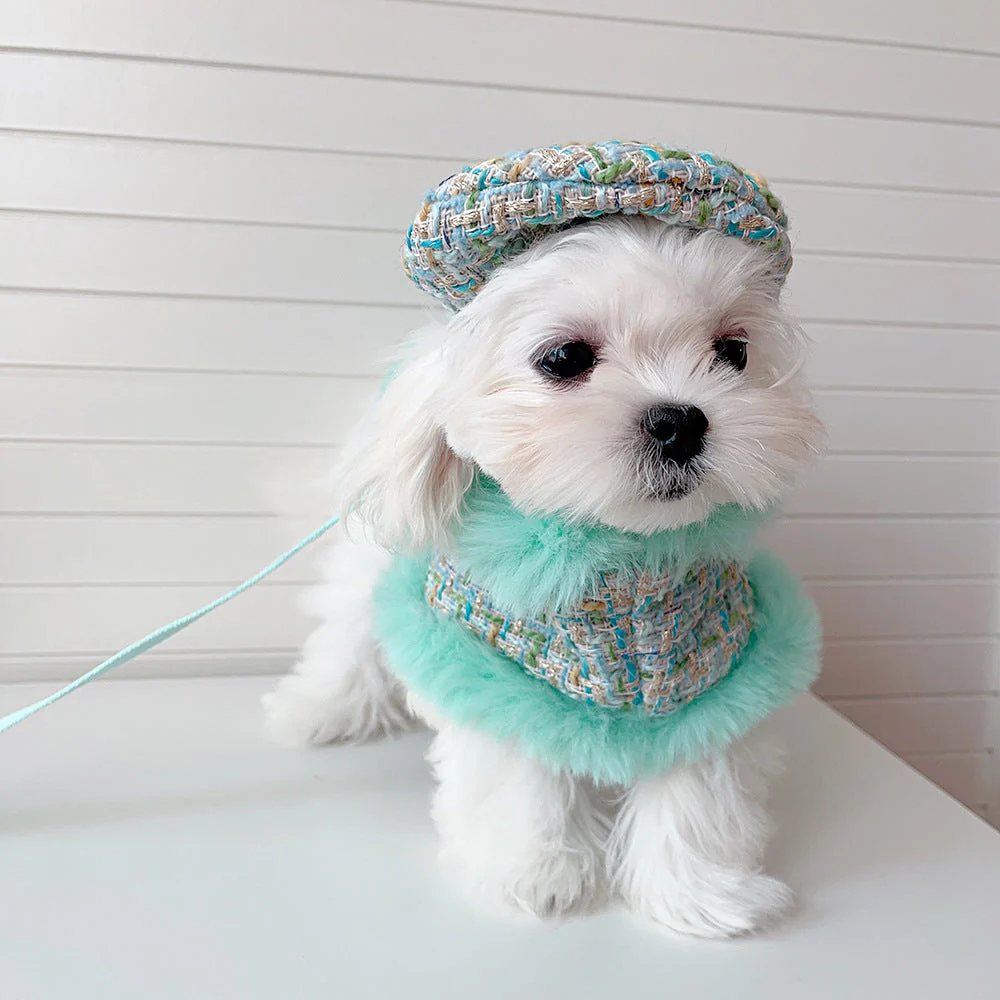 Dog cape green tweed +hat+leash sets - Image 2