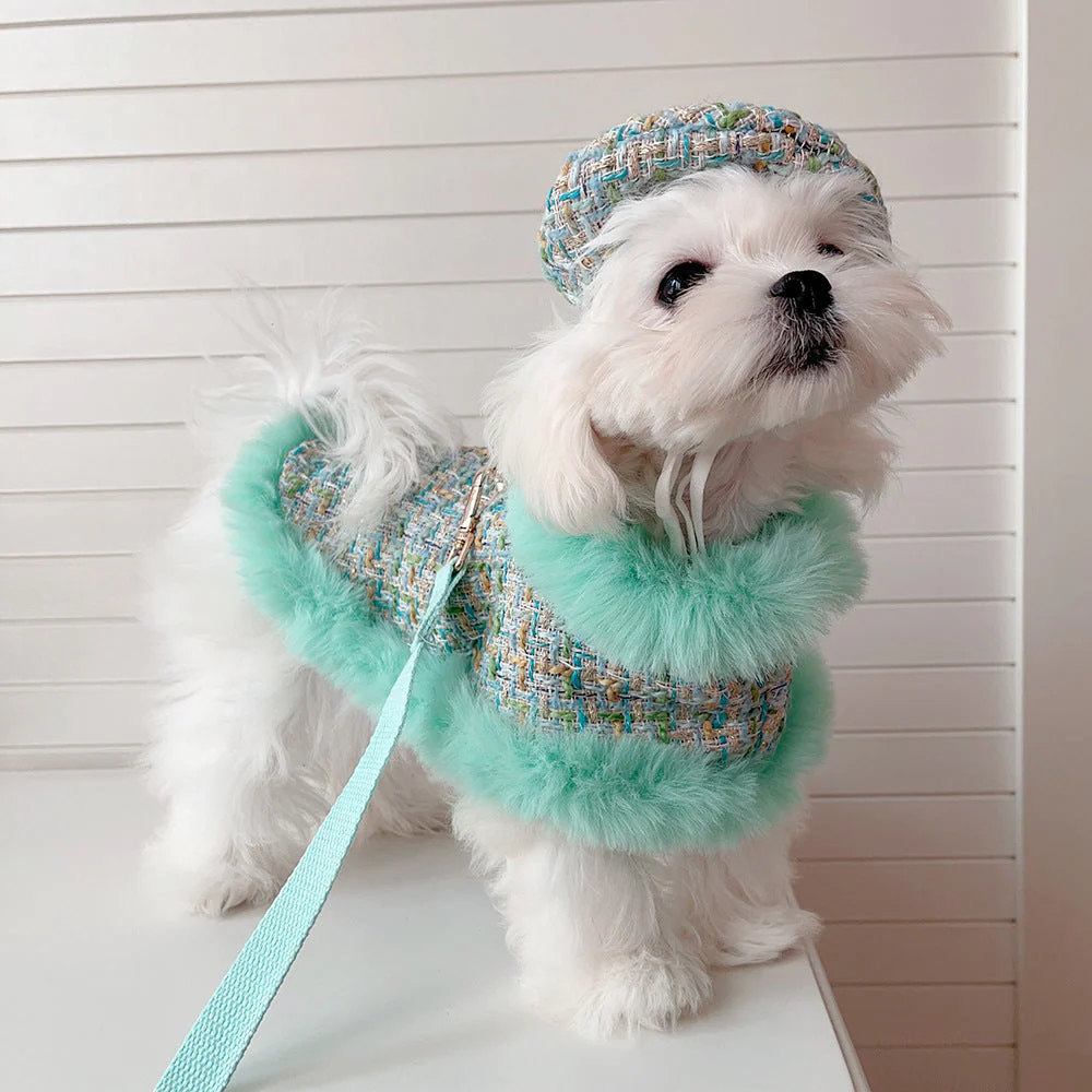 Dog cape green tweed +hat+leash sets - Image 4