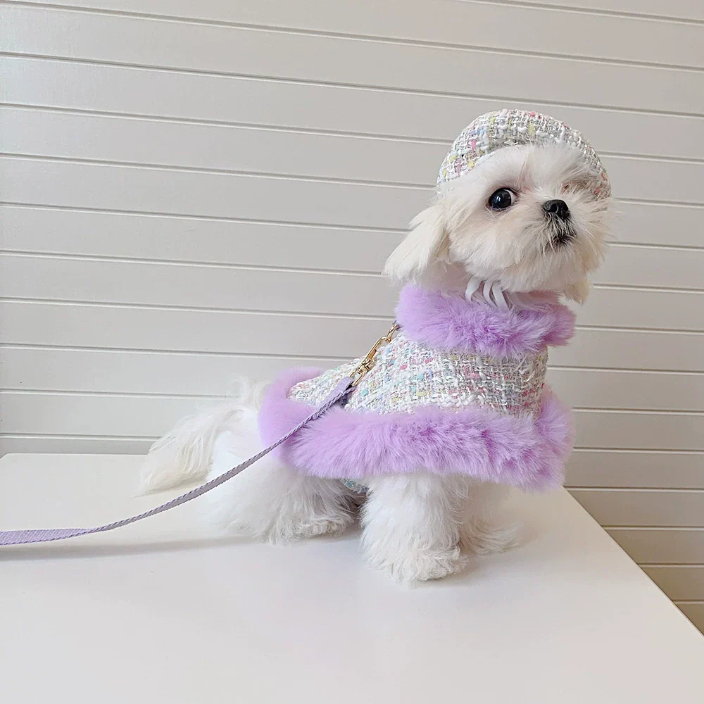 Dog cape+hat+leash lavande tweed - Image 3