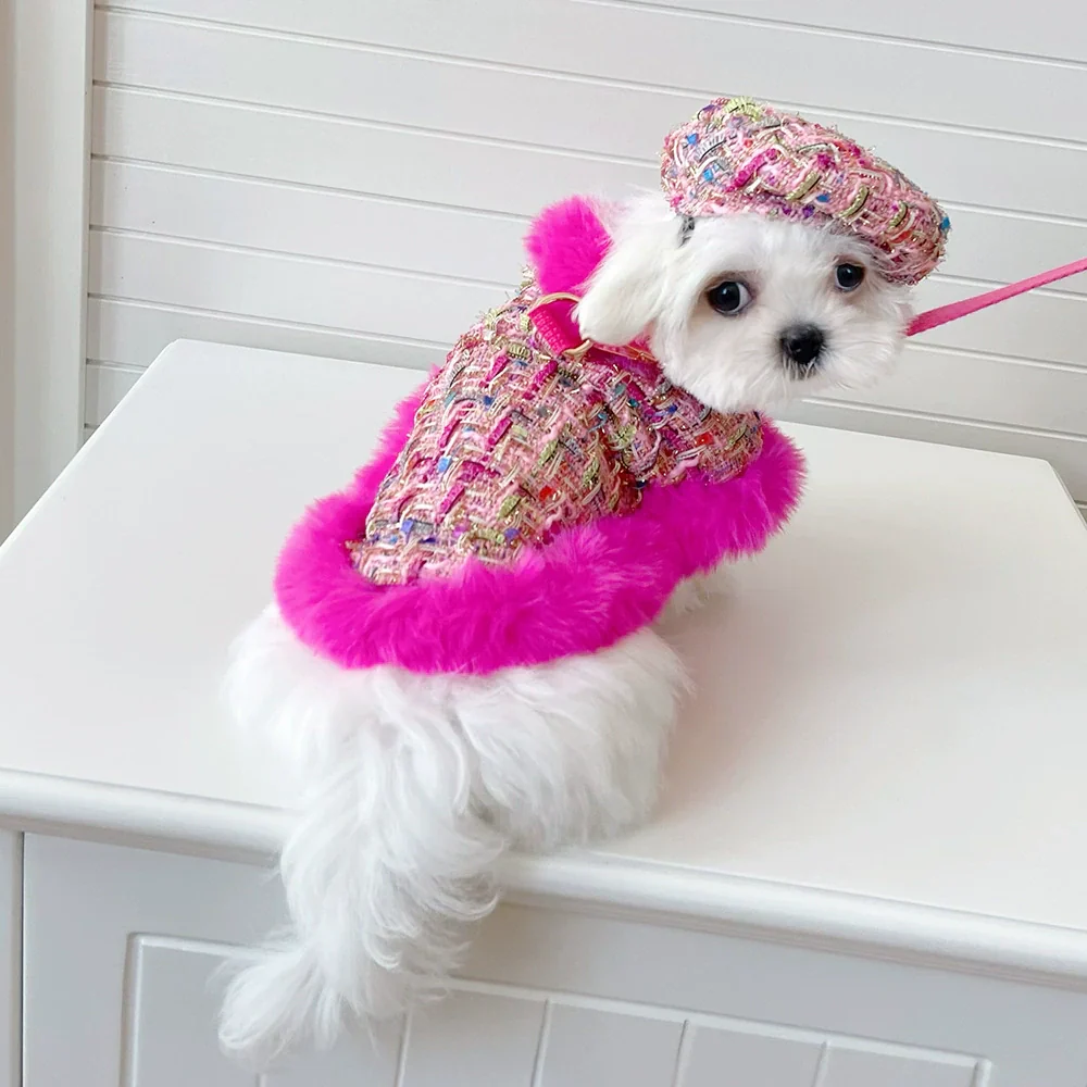 Dog cape+hat+leash sets hot pink tweed - Image 3