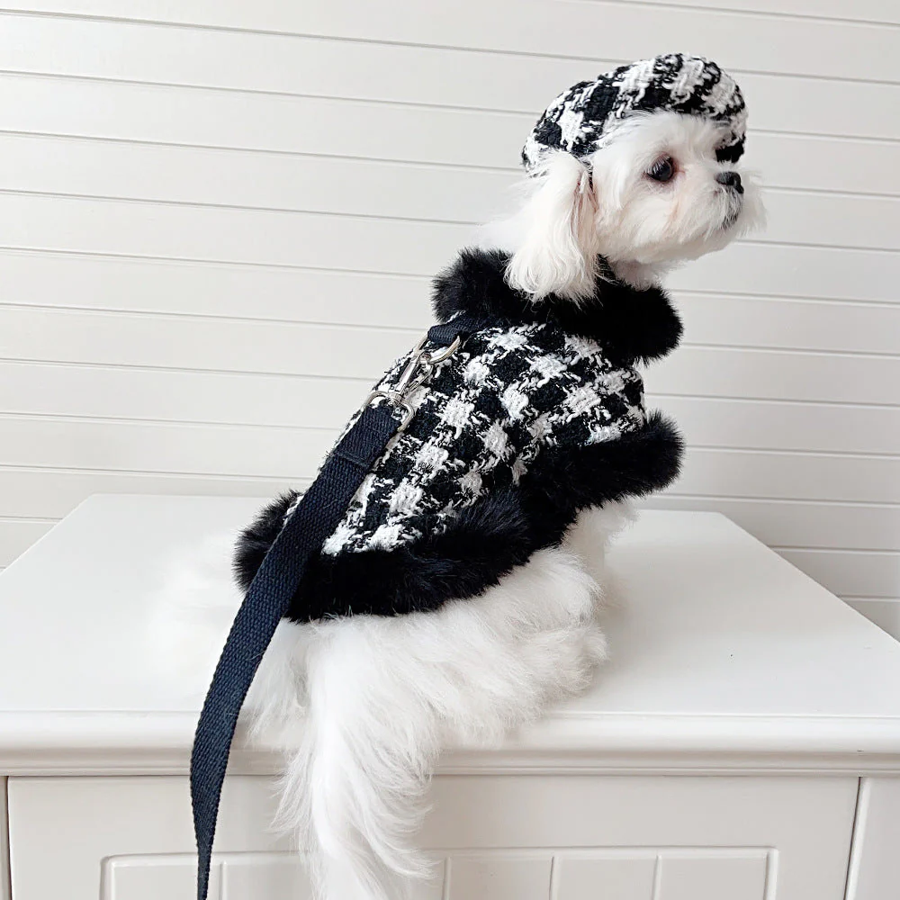 Dog cape+hat+leash sets Houndstooth - Image 4