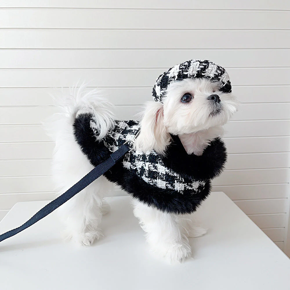 Dog cape+hat+leash sets Houndstooth - Image 5