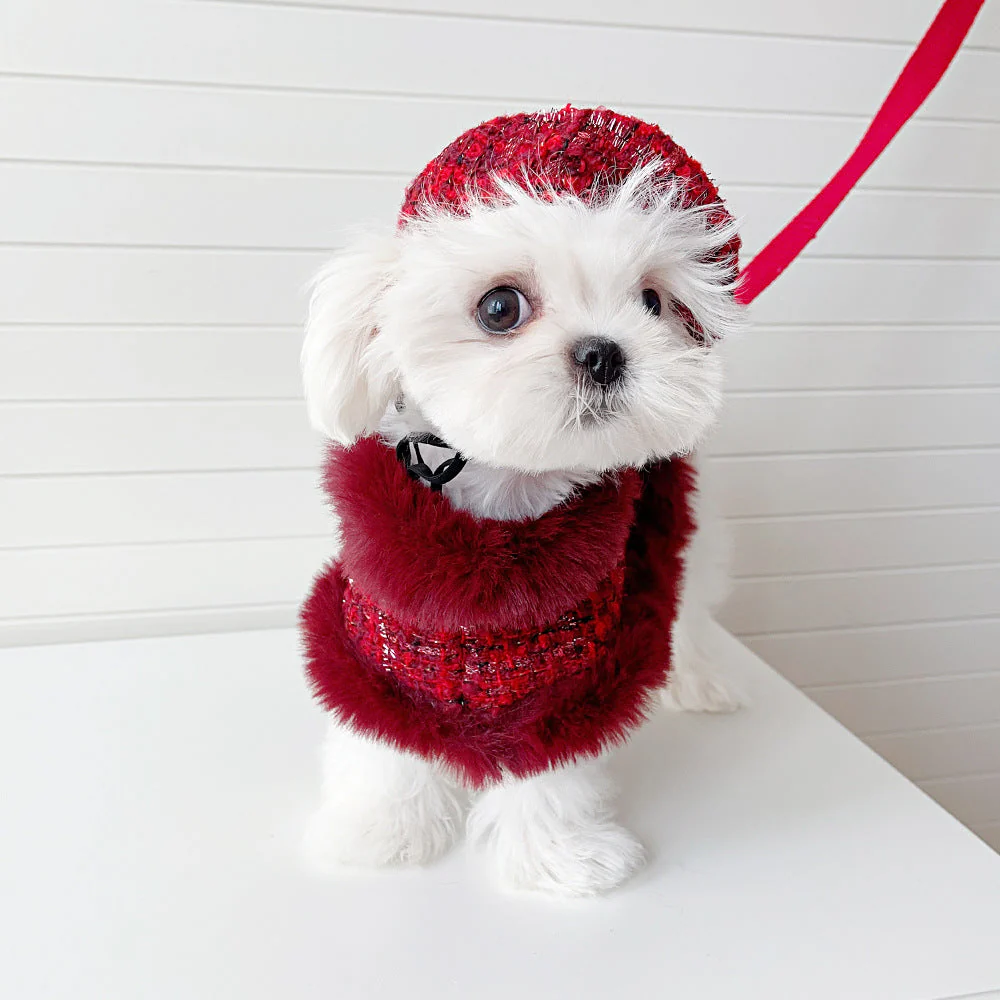 Dog cape+hat+leash sets wine tweed - Image 3