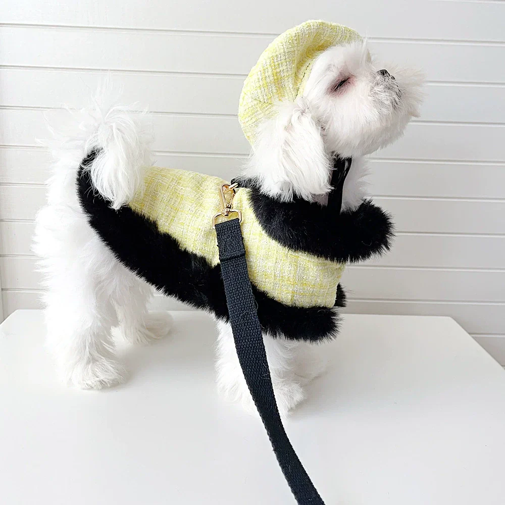 Dog cape+leash sets yellow tweed (no hat) - Image 3