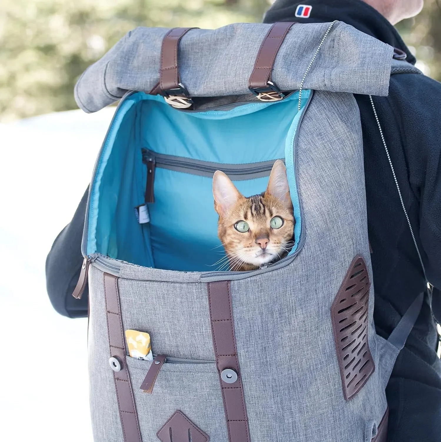 Dog Carrier Backpack for Small Pets - Hands-Free Pet Travel Backpack - Armorsole Base - Convertible Backpack to Carrier - Rugged Pet Backpack - Heather Grey - Image 2