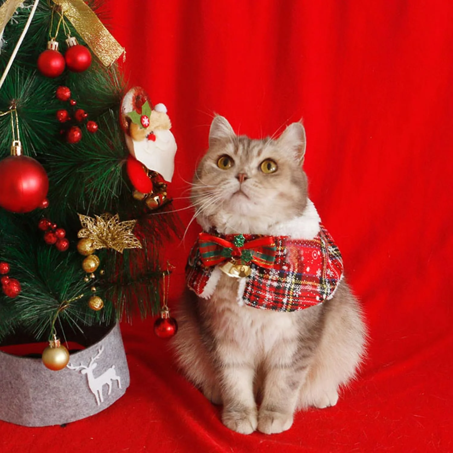 Dog & Cat Christmas Collar Cape • Sherpa Lined & Bells - Image 4