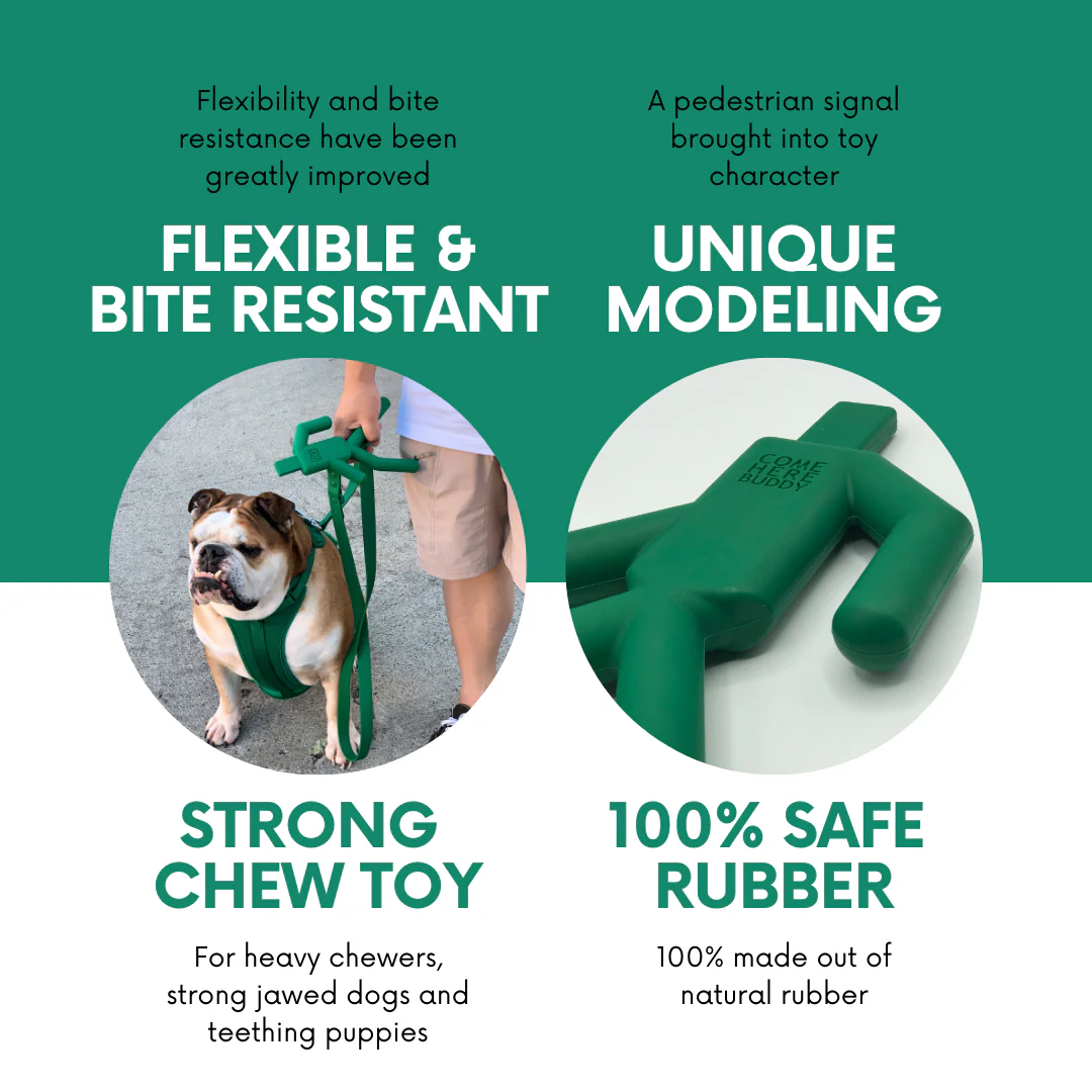Dog Chew Toy - Image 3