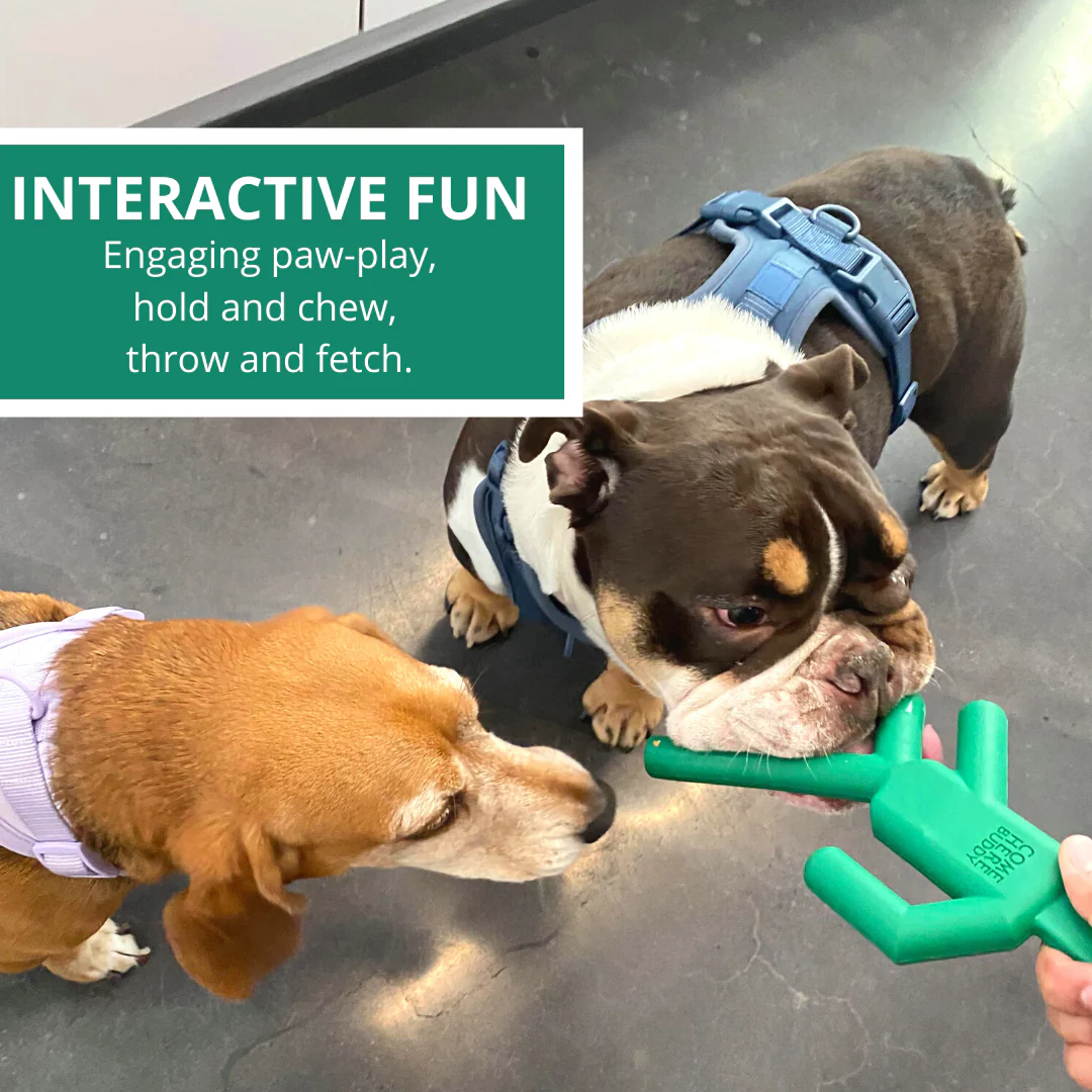 Dog Chew Toy - Image 4