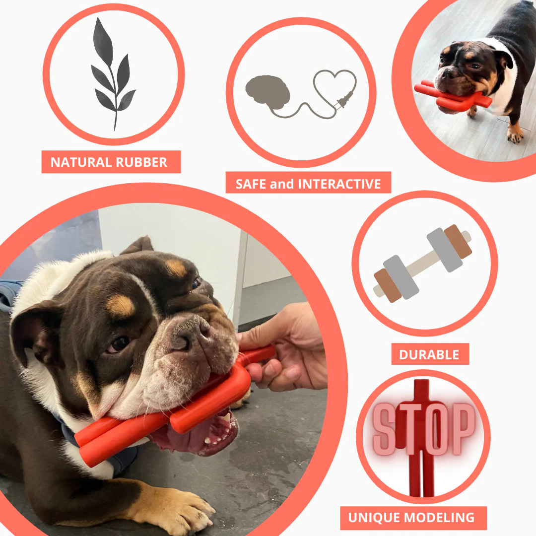 Dog Chew Toy - Image 2
