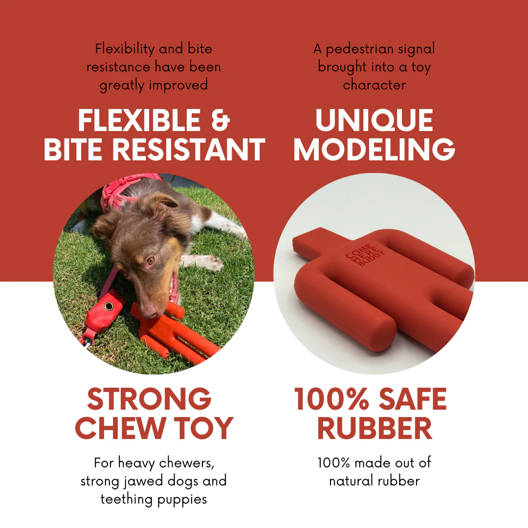 Dog Chew Toy - Image 4