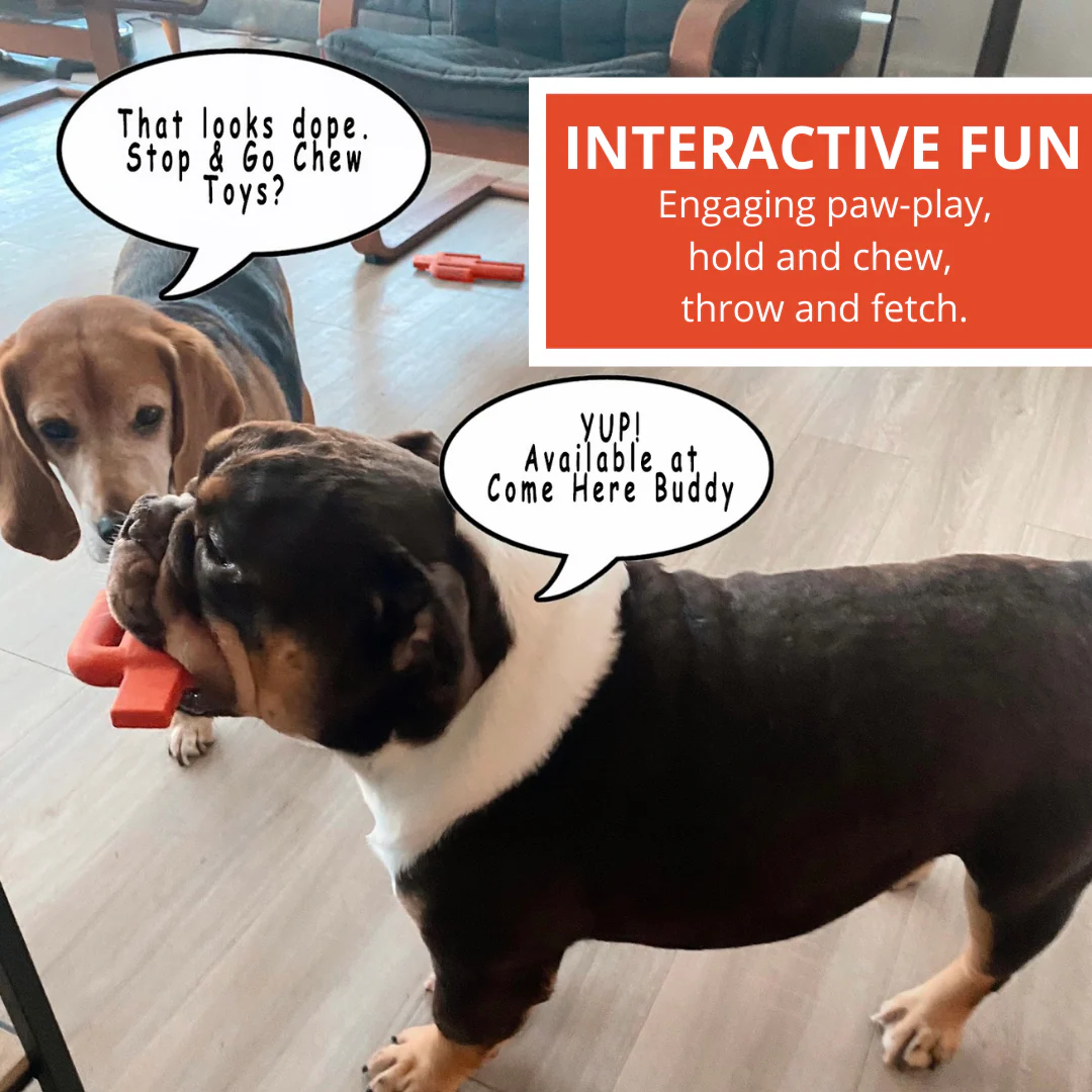 Dog Chew Toy - Image 5