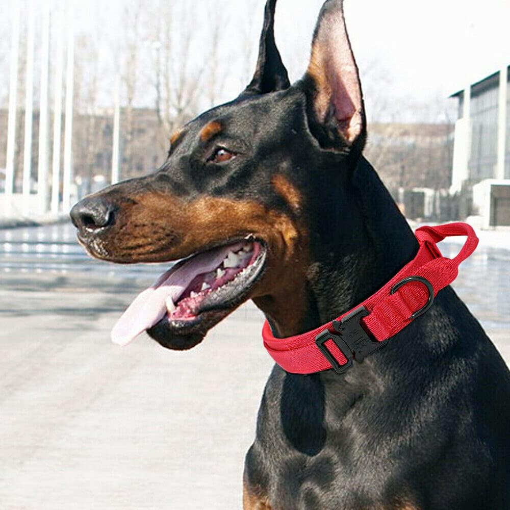 Dog collar+leash set Military-Style Tactical Nylon Collar for Large dogs - Image 18