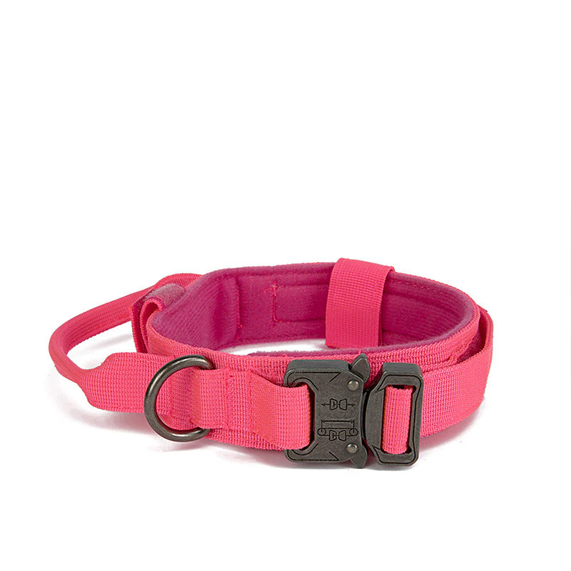 Dog collar+leash set Military-Style Tactical Nylon Collar for Large dogs - Image 4