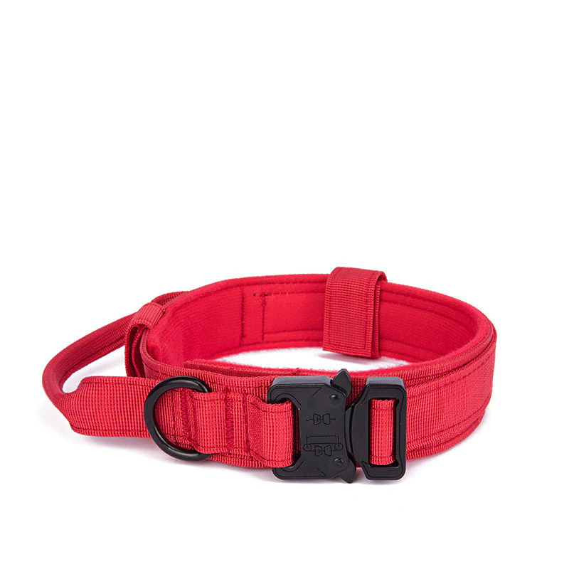 Dog collar+leash set Military-Style Tactical Nylon Collar for Large dogs - Image 5