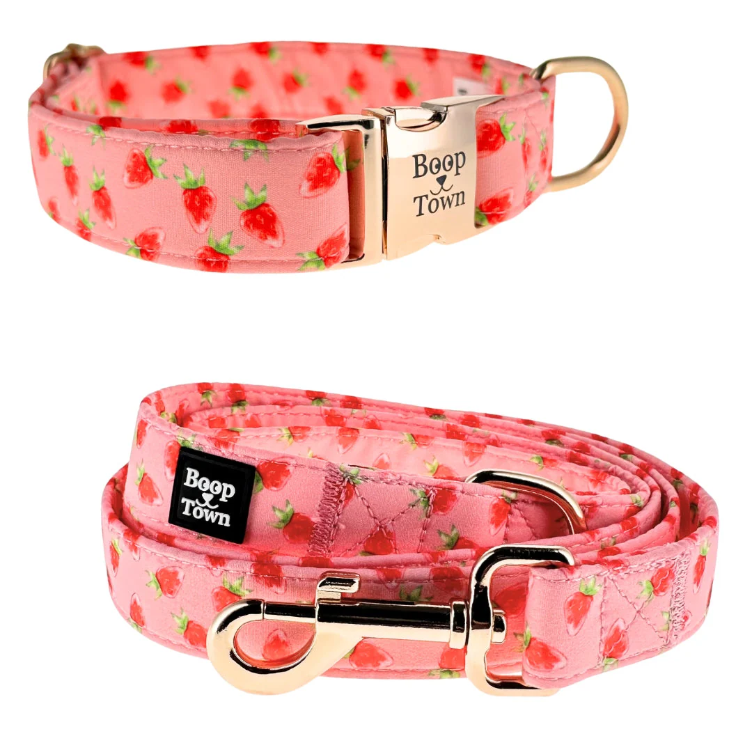 Dog Collar & Leash Sets - Image 12