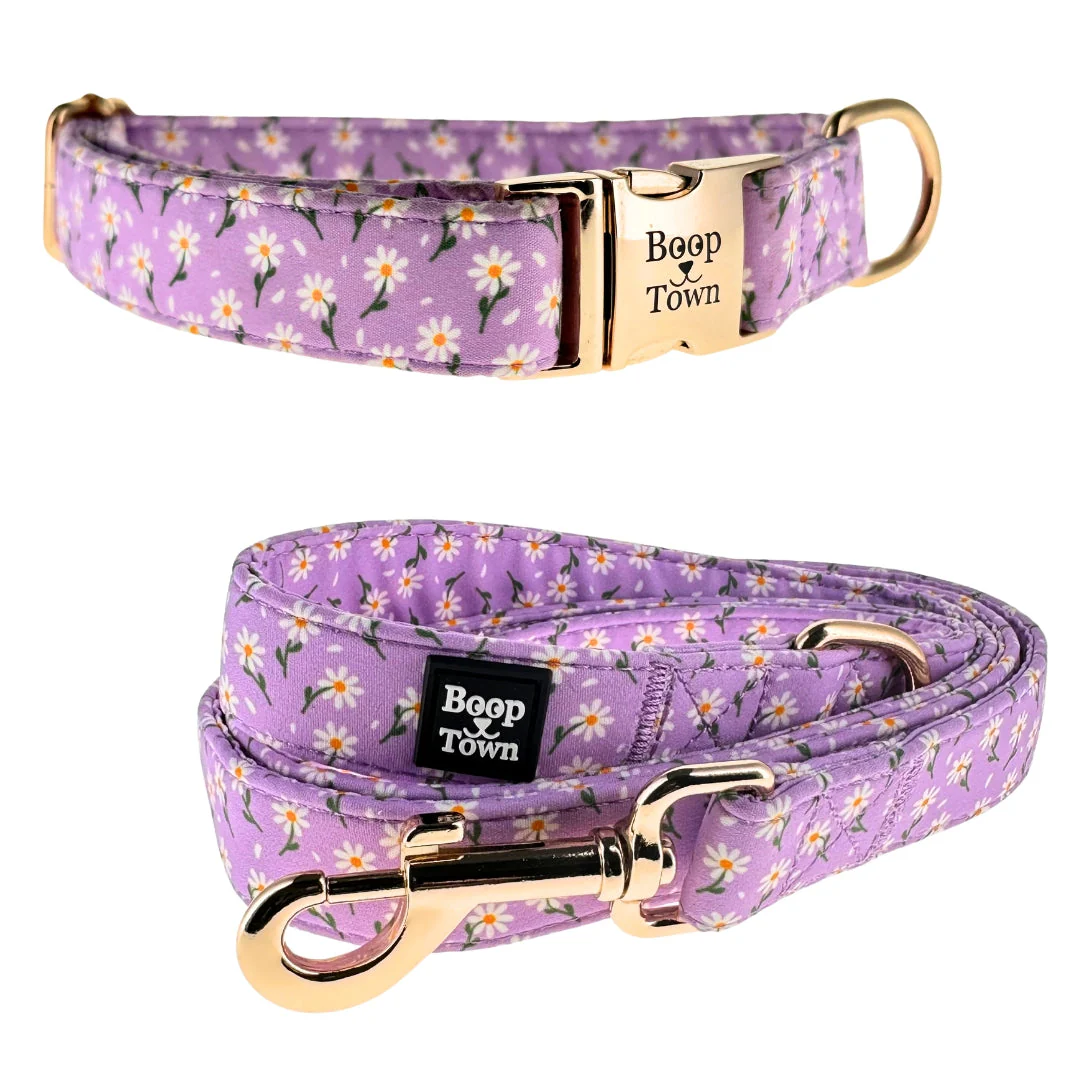 Dog Collar & Leash Sets - Image 2