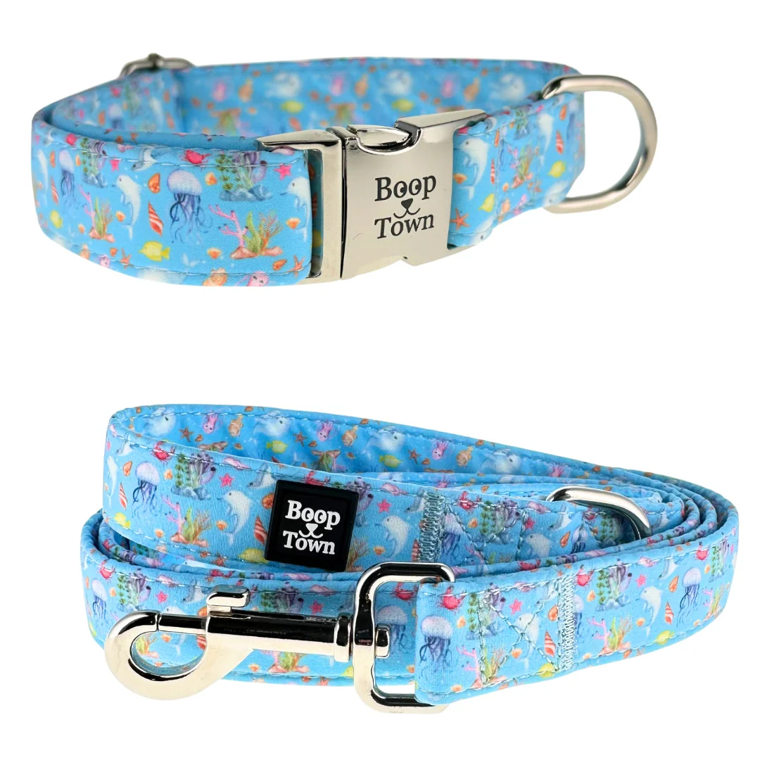 Dog Collar & Leash Sets - Image 3