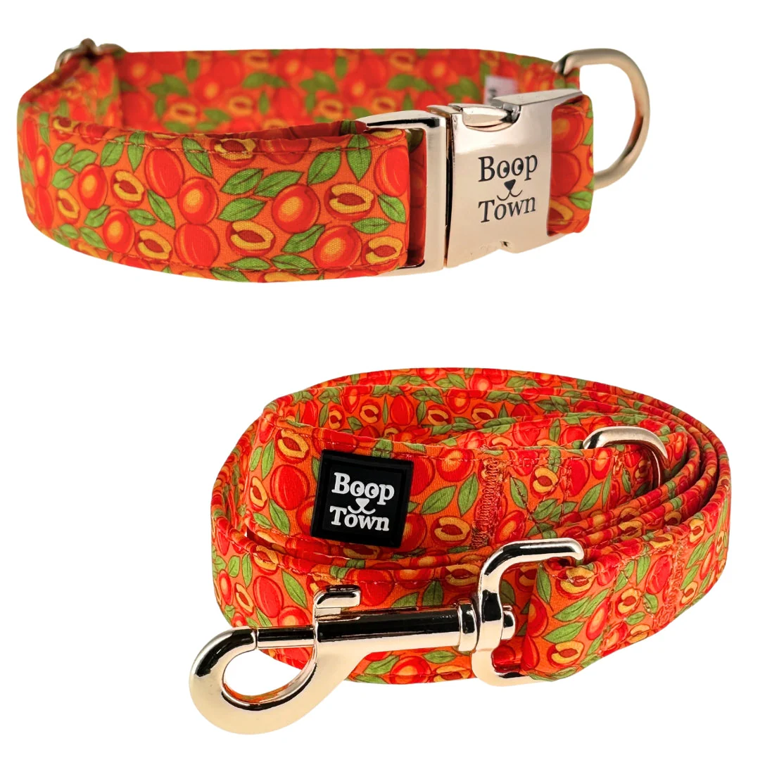 Dog Collar & Leash Sets - Image 6