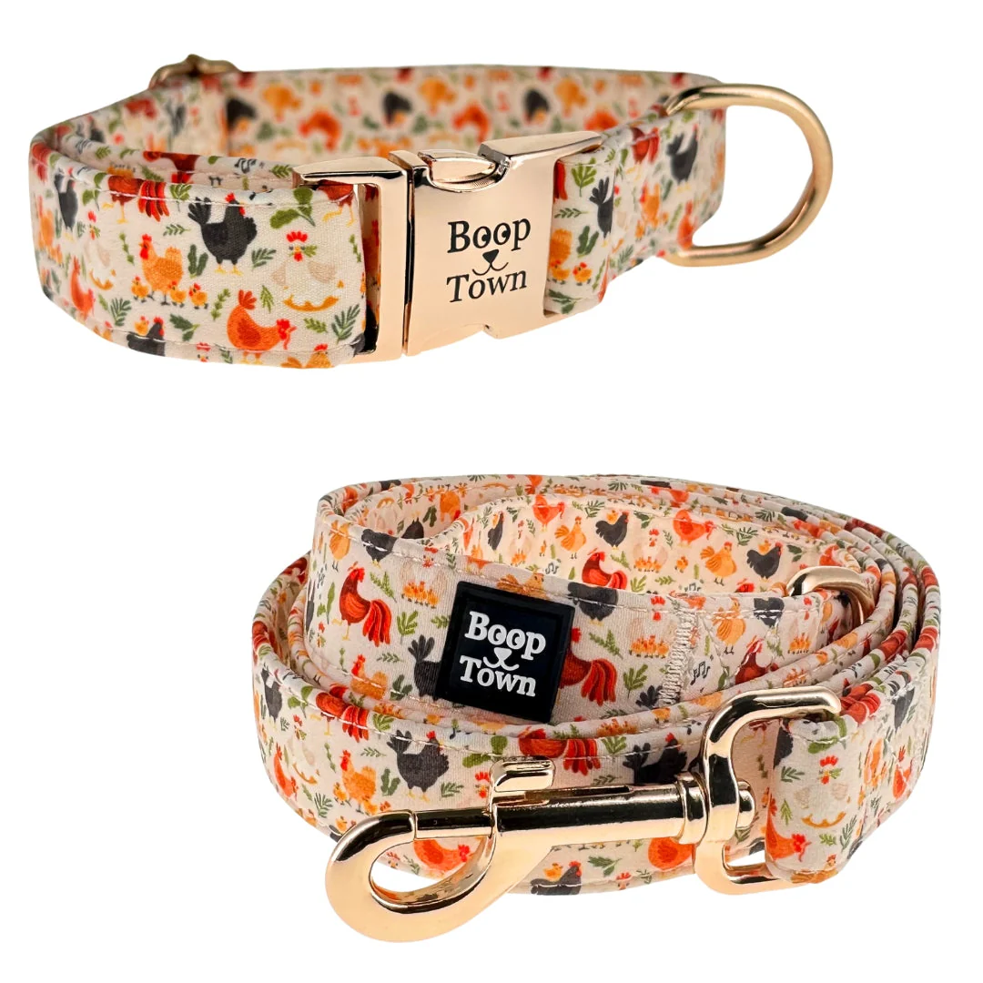 Dog Collar & Leash Sets - Image 7