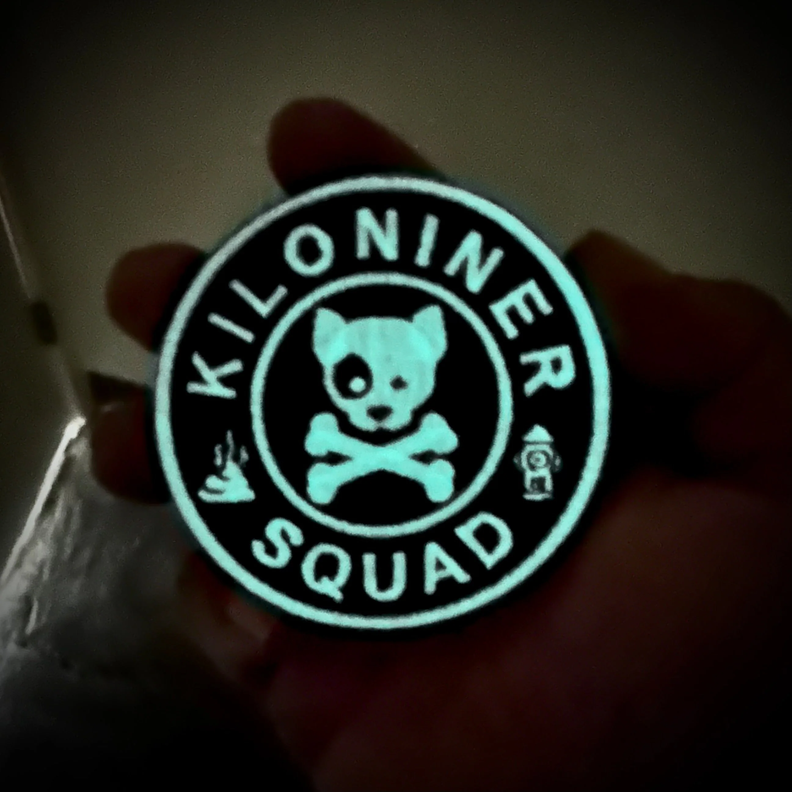 DOG & CROSSBONES Glow In The Dark Morale Patch - Image 14