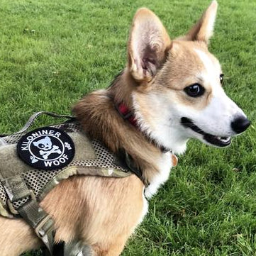 DOG & CROSSBONES Glow In The Dark Morale Patch - Image 4